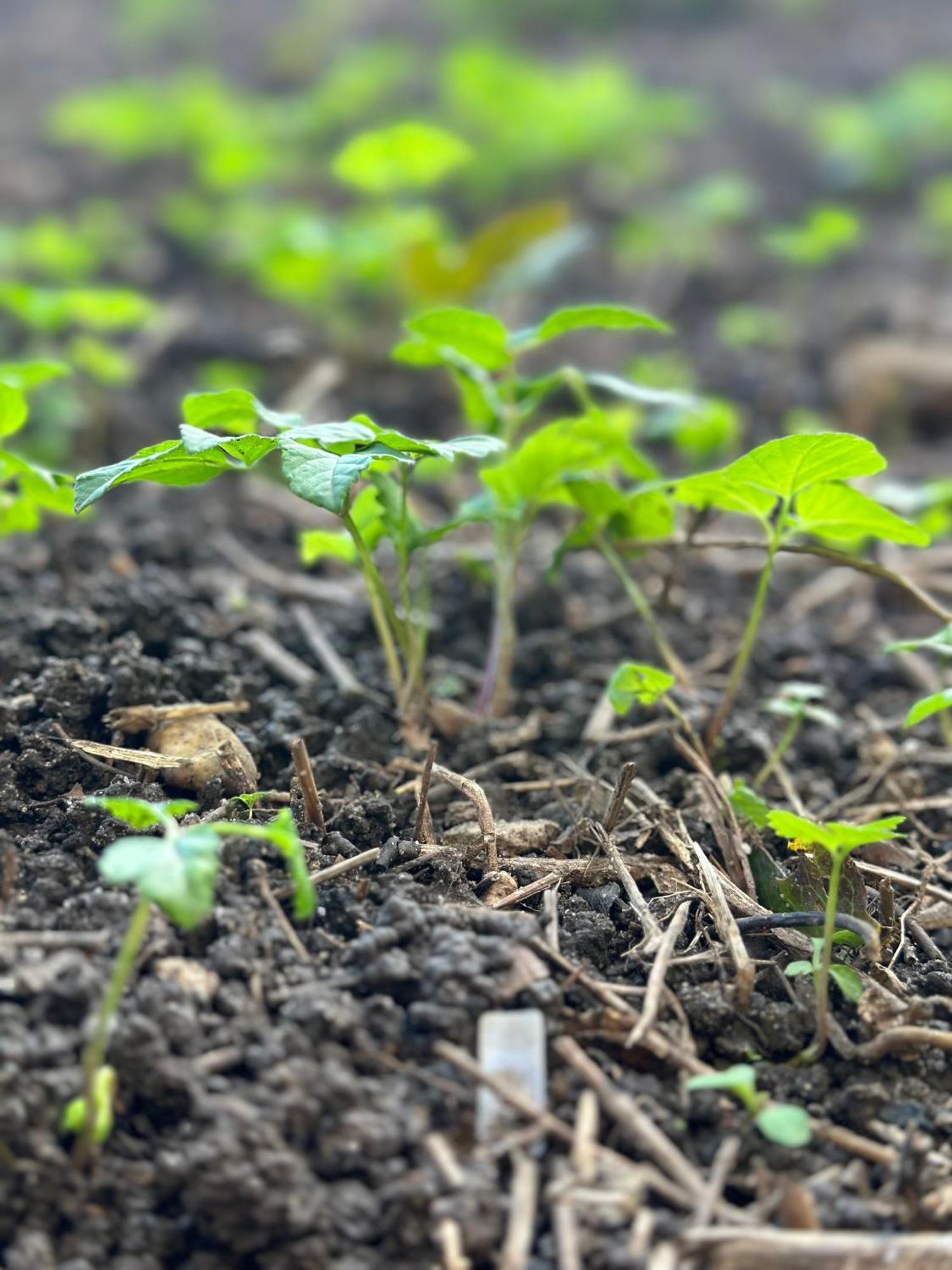 Messe - Fair & Airport By Henkel * Düsseldorf